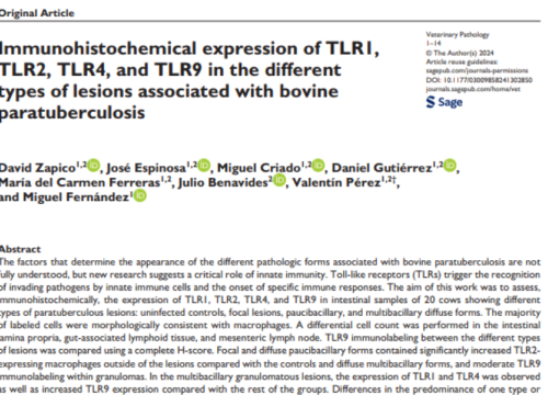 Veterinary Pathology, 25 December 2024