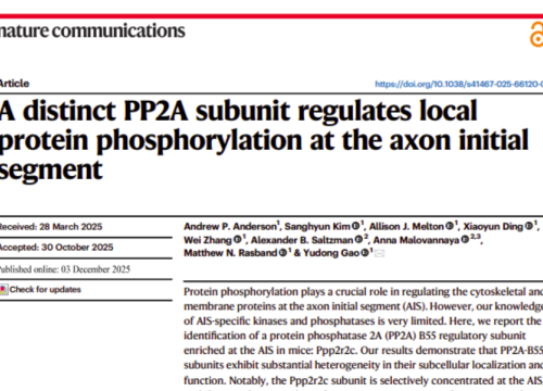 Nature Communications, 03 December 2025