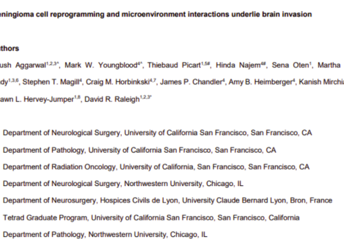 Neuro-Oncology, 31 December 2025