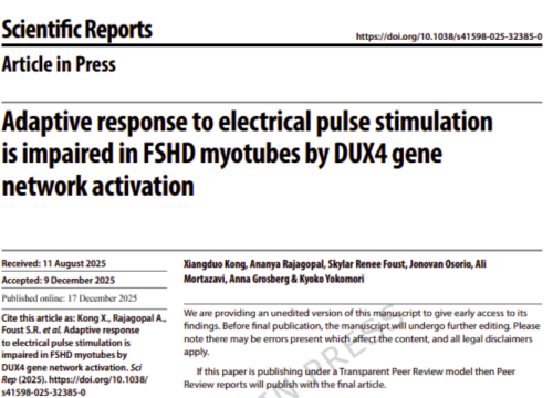 Scientific Reports, 17 December 2025