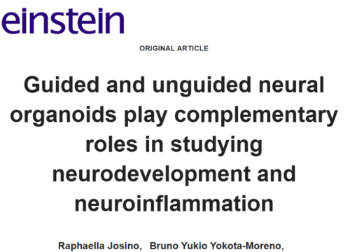 einstein, 13 February 2026